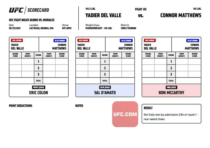 UFC Vegas 106: Официальные записки судей