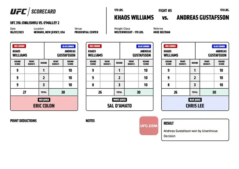 UFC 316: Официальные записки судей