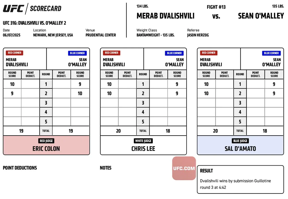 UFC 316: Официальные записки судей
