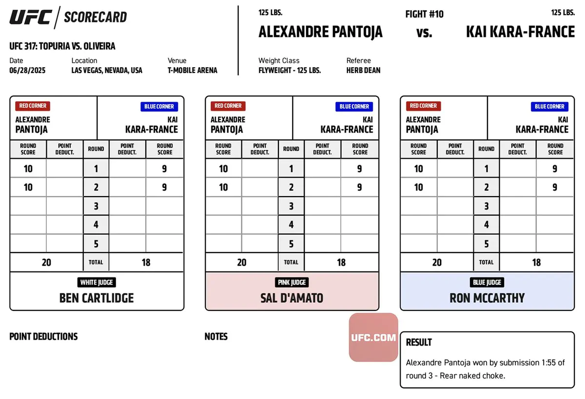 UFC 317: Официальные записки судей