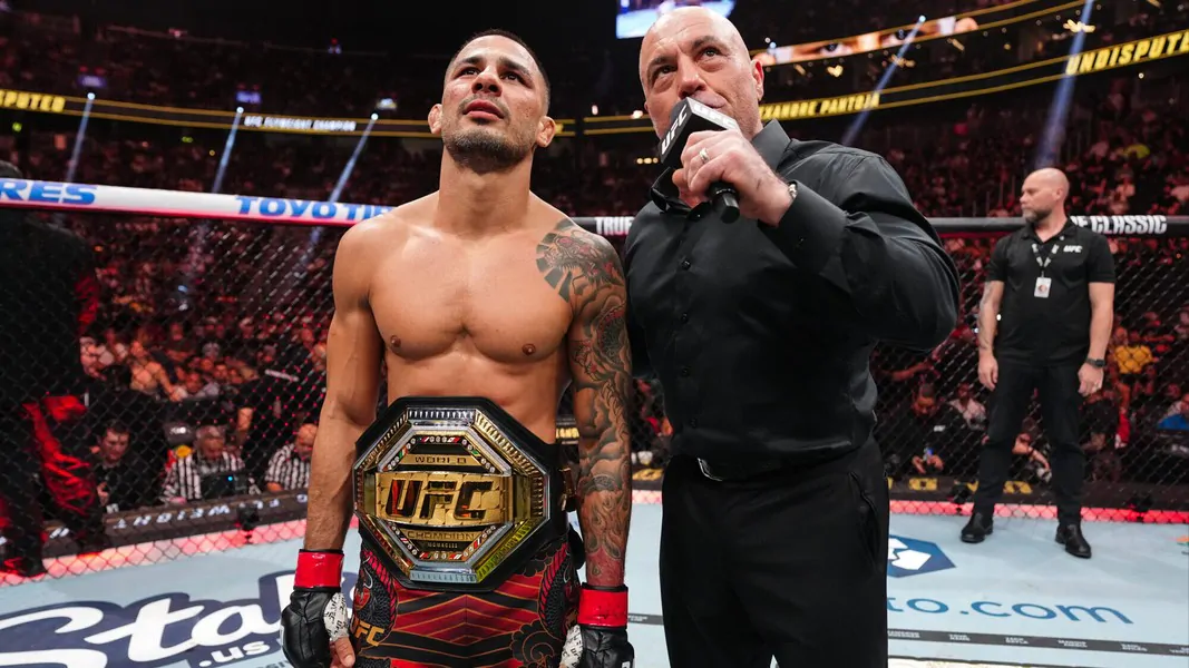 Бонусы UFC 317