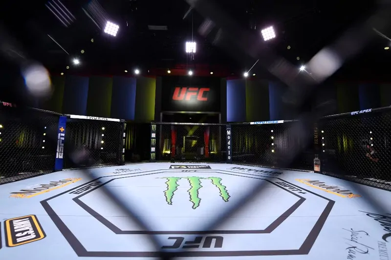 UFC Vegas 108 пополнился перспективными бойцами с нулём в графе поражений