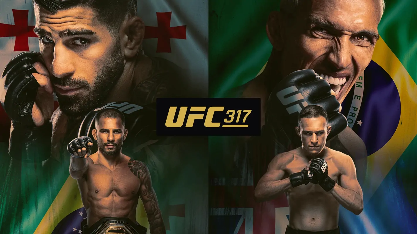 Результаты UFC 317