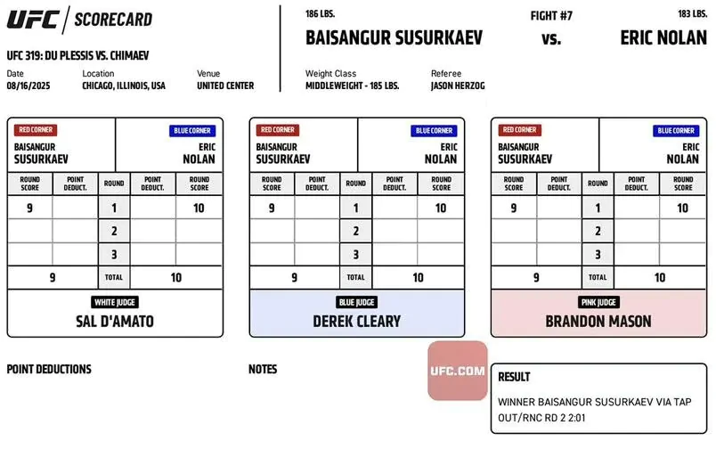 Записки судей UFC 319