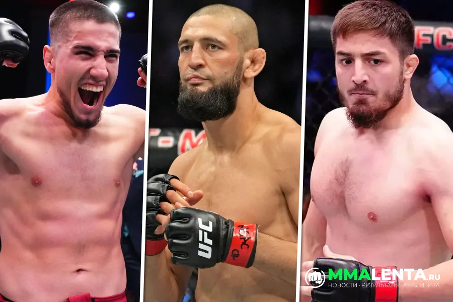 Три бойца из Чечни, которые стремительно покоряют UFC