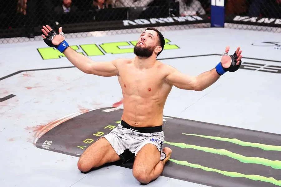 Дана Уайт не гарантирует бой Имавов vs Чимаев даже в случае победы на UFC Paris