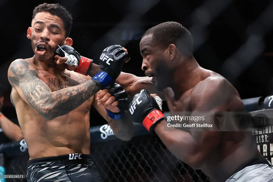Бонусы UFC 319