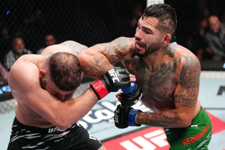 Бонусы UFC Vegas 109