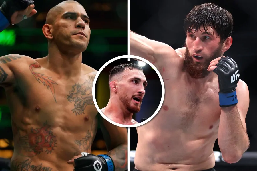 Модестас Букаускас прогнозирует исход реванша Перейра — Анкалаев на UFC 320